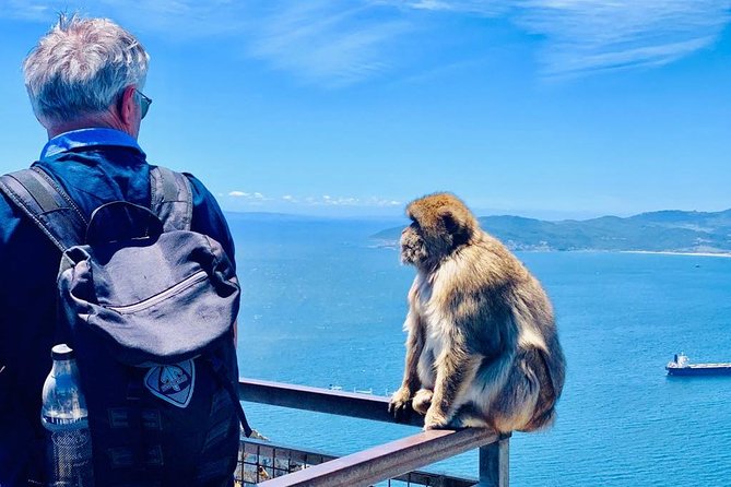 Tours of Gibraltar - STANDARD TOUR - Stop 1: Pillars of Hercules and the North Africa View