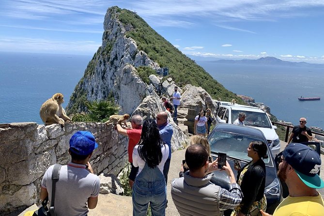 Tours of Gibraltar - STANDARD TOUR - Why the Gibraltar Nature Reserve Mix Feels Like Real Gibraltar